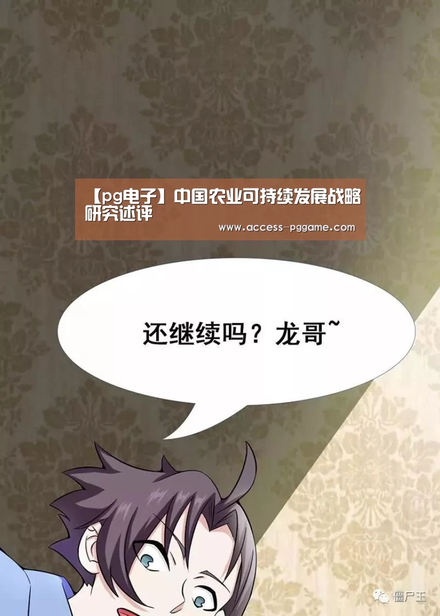 【pg电子】中国农业可持续发展战略研究述评