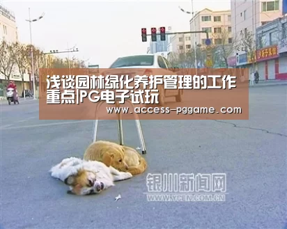 pg电子