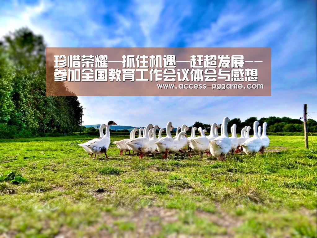 珍惜荣耀—抓住机遇—赶超发展--参加全国教育工作会议体会与感