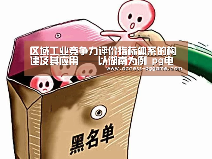 区域工业竞争力评价指标体系的构建及其应用——以湖南为例_pg