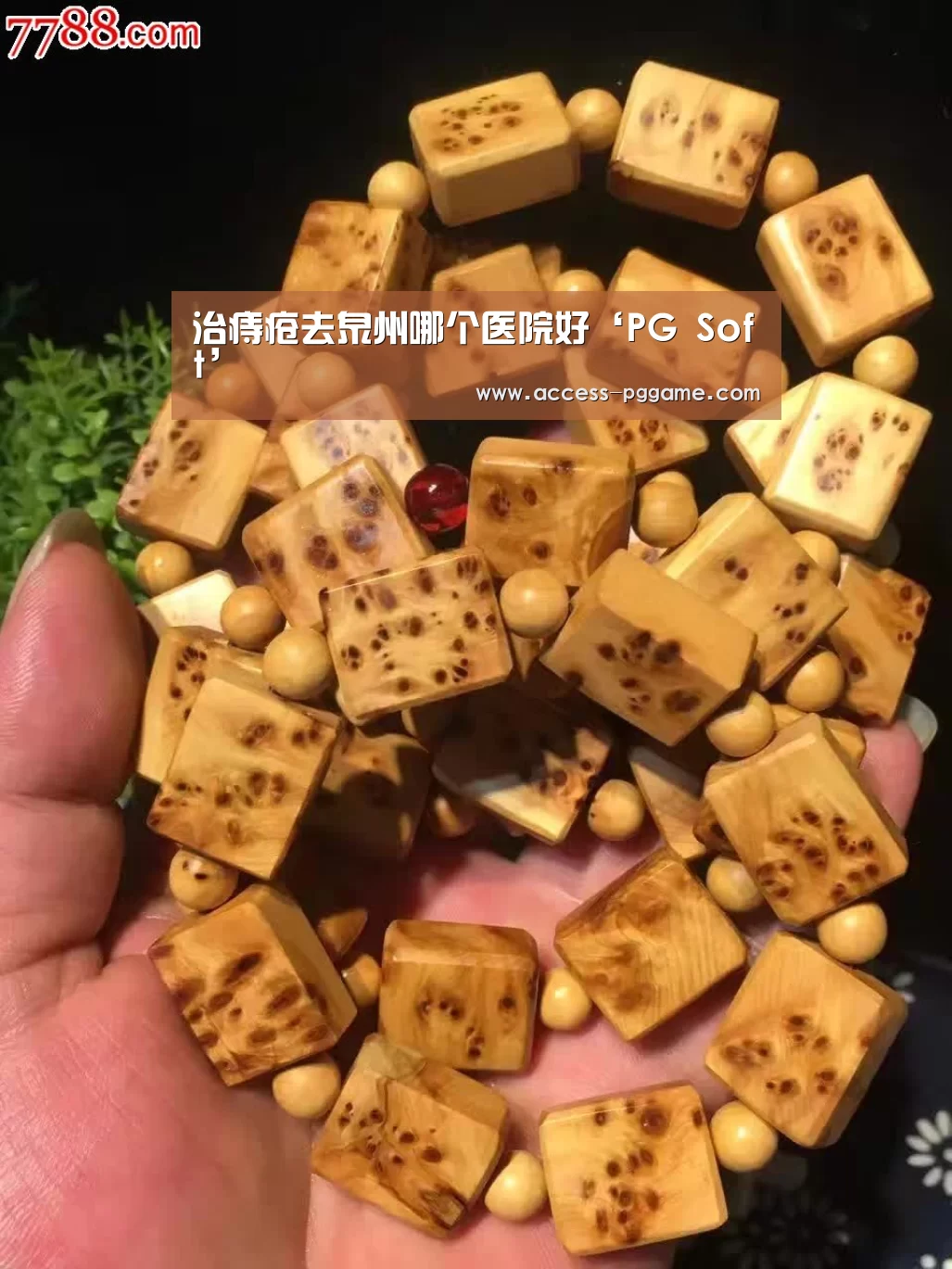 PG电子试玩