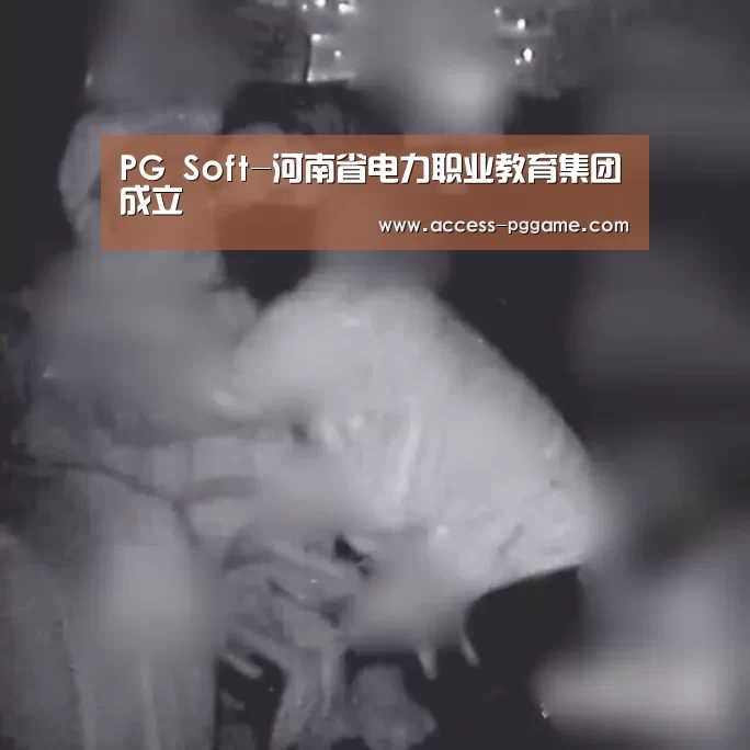 PG Soft-河南省电力职业教育集团成立