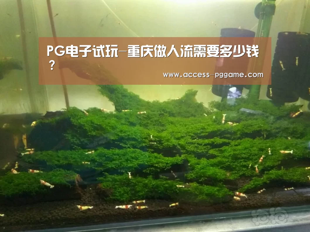 PG电子试玩-重庆做人流需要多少钱？