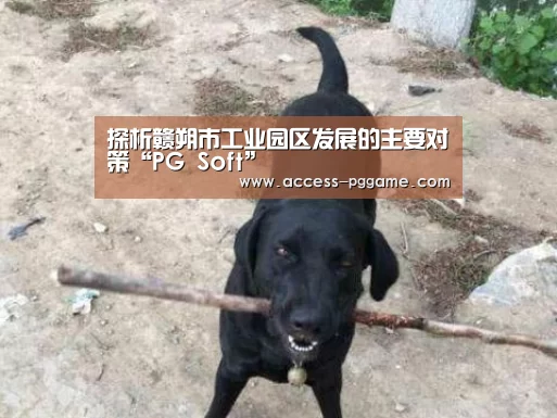 pg电子游戏