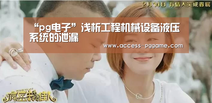 “pg电子”浅析工程机械设备液压系统的泄漏(图2) PG Soft