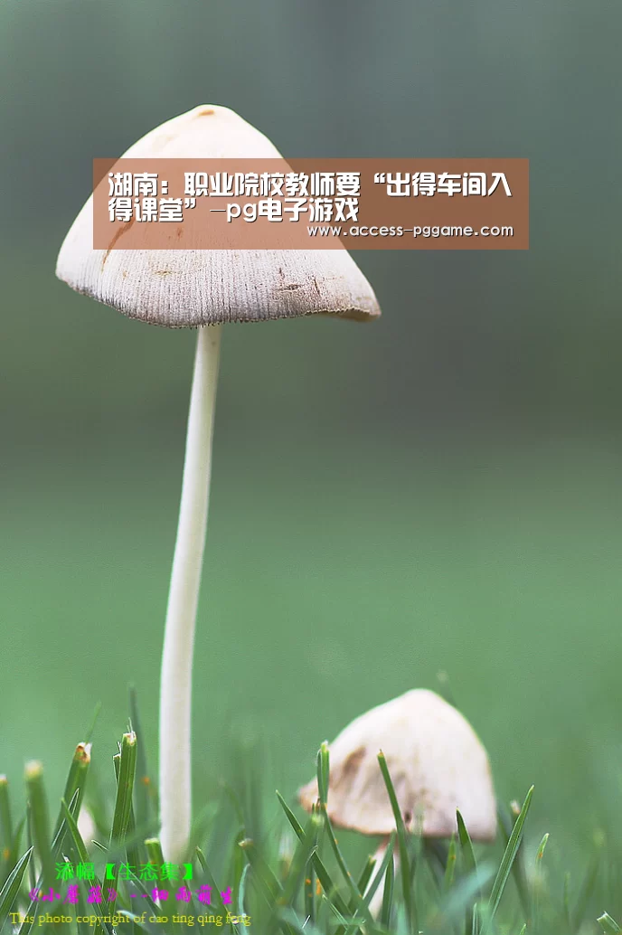 PG电子试玩