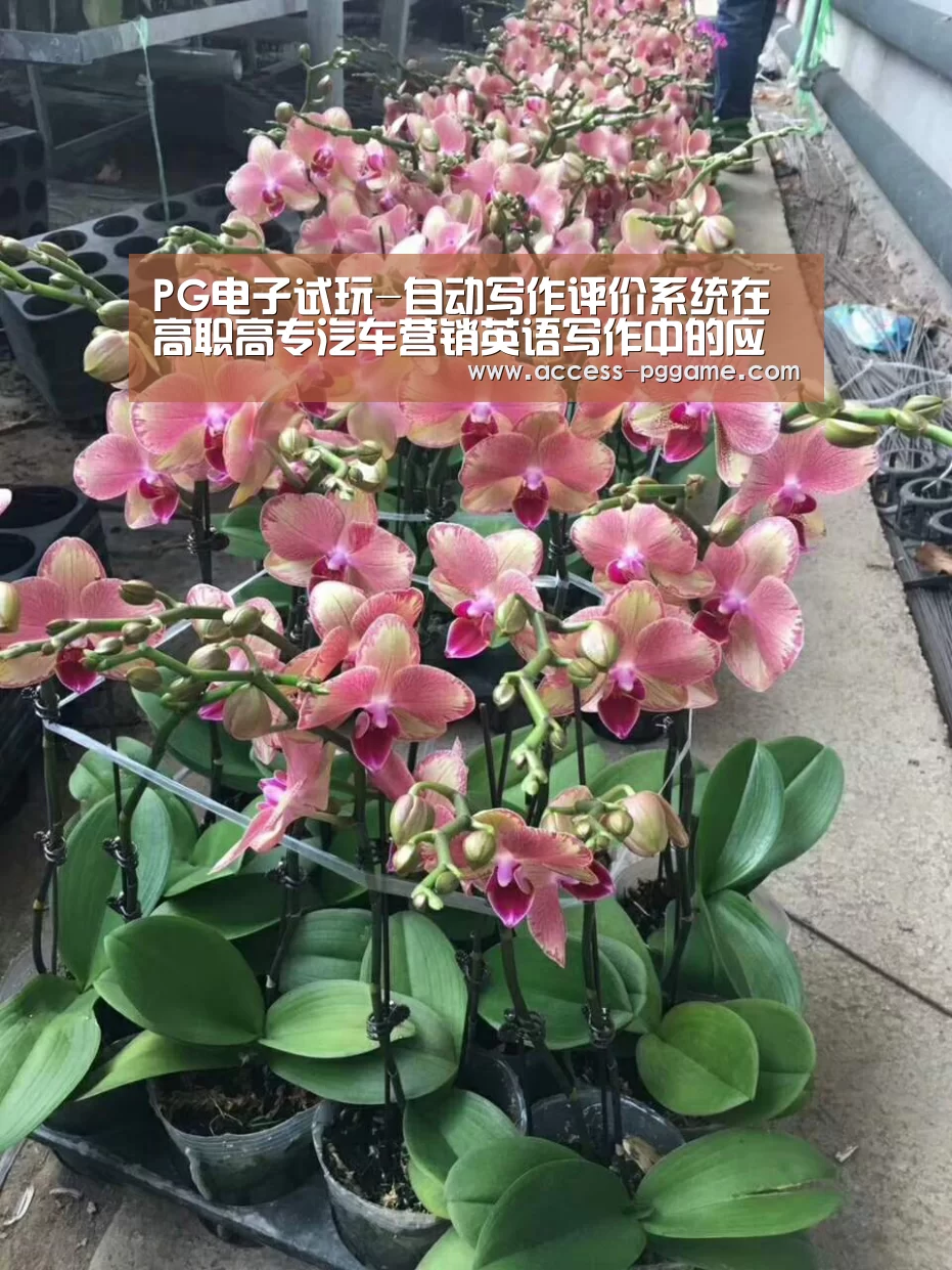 pg电子游戏